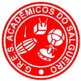 logo escola de samba salgueiro