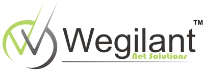 logotipo wns informatica