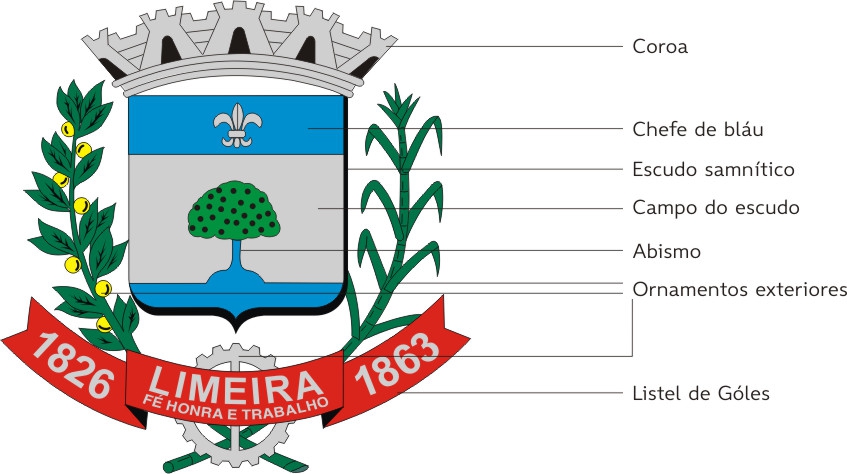elementos de um brasao e escudo oficial municipal