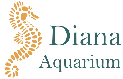logomarca diana aquarium