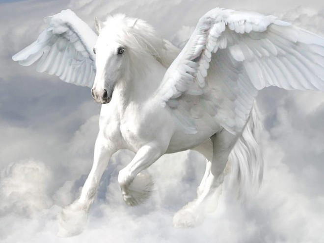 cavalo pegaso simbolo mitologia grega cavalo pegaso simbolo mitologia grega