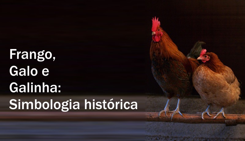 Simbologia do frango, galo e galinha