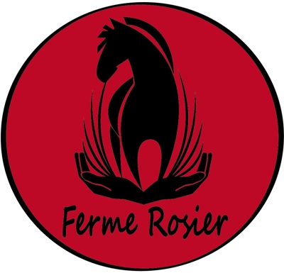 logomarca haras cavalo logomarca haras cavalo