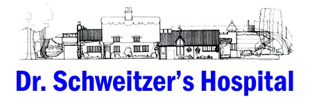 logotipo hospital schweitzers logotipo hospital schweitzers