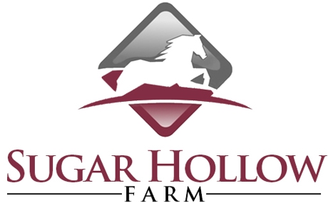 logotipo haras estados unidos logotipo haras estados unidos